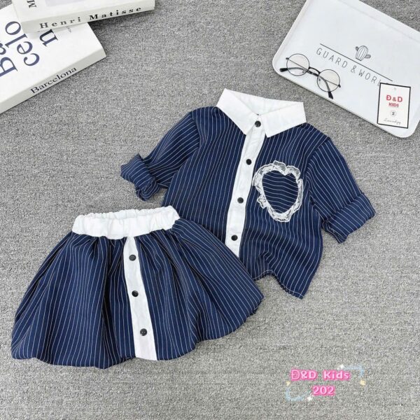 Stylish skirt/top set