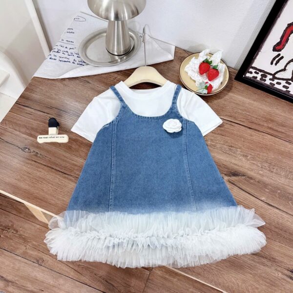 Sleeveless Denim dress and top